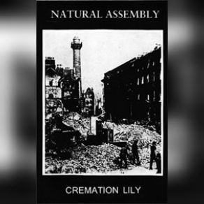 Download track Towards A Doorway Cremation LilyNatural Assembly