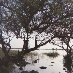 Download track Ex Flights (Alternative Version) Tiny Fingers