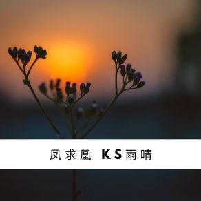 Download track 凤求凰 (伴奏) Ks雨晴