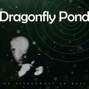 Download track We're Such A Long Way From Home Dragonfly Pond