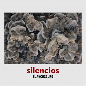 Download track Los Árboles Blancoscuro