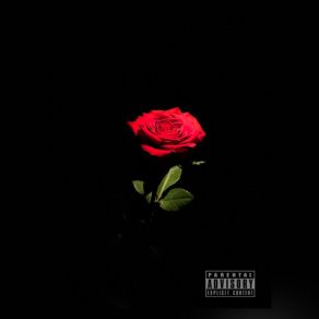 Download track TEMPORARY NIGHTS Hbk Romeo