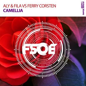 Download track Camellia (Extended Mix) Ferry Corsten, Aly & Fila