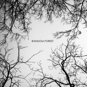 Download track See The Storm Random Forest