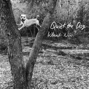 Download track Lincoln County War Quiet The Dog