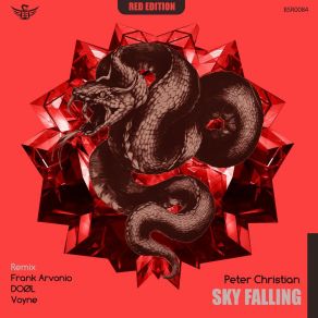 Download track Sky Falling (Doøl Remix) Peter ChristianDool