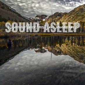 Download track Wyoming Deep Forest Lake Soundscape, Pt. 15 Elijah Wagner