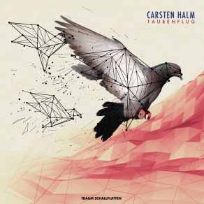 Download track Taubenflug Carsten Halm