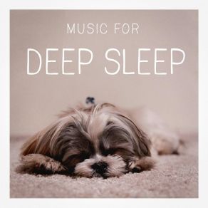 Download track Lay Down, My Child Positive Thinking: Music To Develop A Complete Meditation Mindset For Yoga