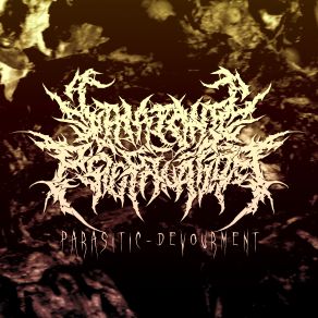 Download track Reformation To Enslavement Catatonic Profanation