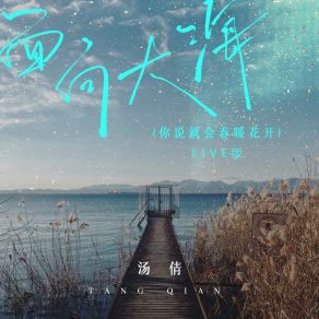 Download track 面向大海 (Live版, 你说就会春暖花开) Tang Qian