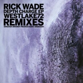 Download track Don't Look Back (Westlake72 NY Remix) Rick Wade