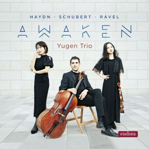 Download track Piano Trio In A Minor, M. 67 IV. Final (Animé) Yugen TrioAniMe