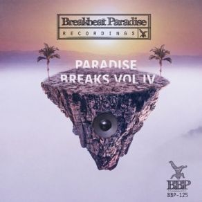 Download track Represent The Style Djp, Breakbeat Junkie