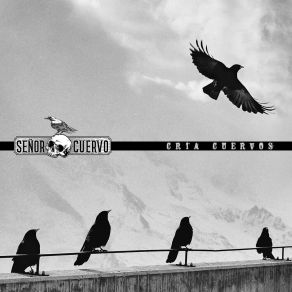 Download track Días De Fuego Sr Cuervo