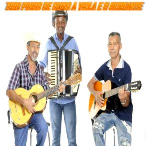 Download track Meu Grito De Vitória Trio Pingo De Ouro