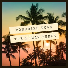 Download track Powering Down The Human Punks Ruff As Flock