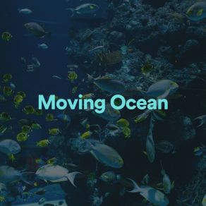 Download track Calming Ocean Relaxing Ocean Sounds