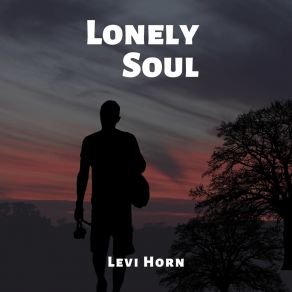 Download track The Because Of Diary Levi Horn