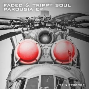 Download track Reborn (Original Mix) Faded. & Trippy Soul