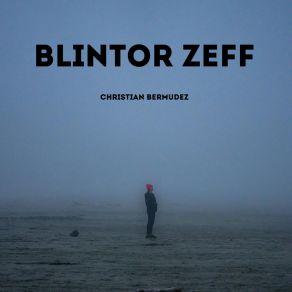 Download track Zyntor Flin Christian Bermudez