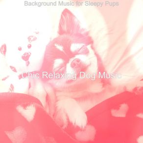 Download track Soulful Serene Puppies Chic Relaxing Dog Music