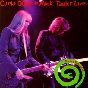 Download track Rubies & Diamonds (Live) Mick Taylor