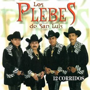 Download track 100% Potosino (El De San Luis) Los Plebes De San Luis