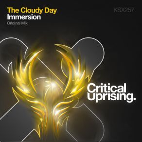 Download track Immersion (Original Mix) The Cloudy Day