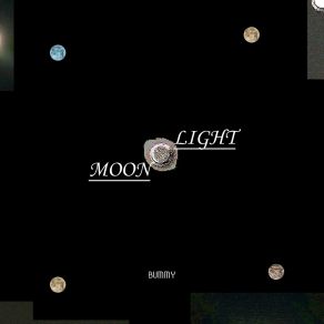 Download track MOONLIGHT (Inst.) Bummy