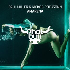 Download track Amarena (Radio Edit) Paul Miller, Jackob Rocksonn