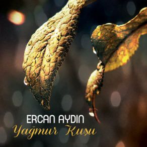 Download track Yağmur Kuşu Ercan Aydın