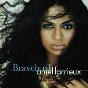 Download track Say You Want It All Amel Larrieux