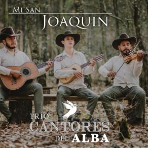 Download track Cómo Sufro Trío Cantores Del Alba