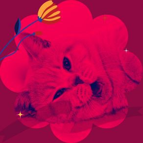 Download track Charming Ambience For Cozy Kittens Music For Resting Cats