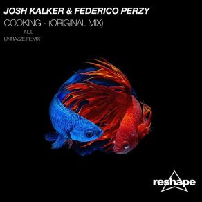 Download track Cooking (Original Mix) Federico Perzy