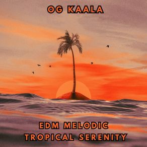 Download track Summer Bliss OG KAALA