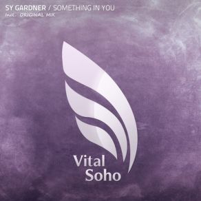 Download track Something In You (Original Mix) Sy Gardner