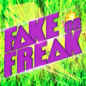 Download track Song About Love Fake Or Freak