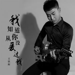 Download track 我知道你从没爱过我 (DJBanan版) 王铁辉Banan