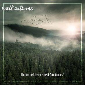 Download track Untouched Deep Forest Ambience, Pt. 2 Daniel Dodik