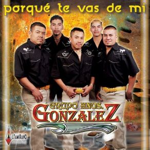 Download track Por Qué Te Vas De Mí Grupo Hnos. Gonzalez