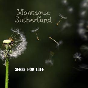 Download track Casual Duty Montague Sutherland