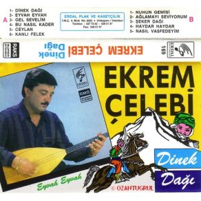 Download track Nasıl Vasfedeyim Ekrem Çelebi