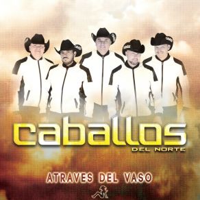 Download track Dicen Que Soy Un Borracho Caballos Del Norte