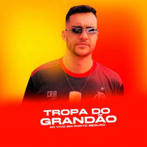 Download track Me Apaixonei Tropa Do Grandao