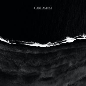 Download track Timor Cardamom