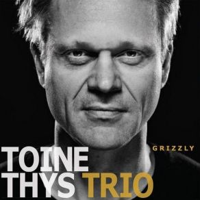 Download track Midnight Sun Toine Thys Trio