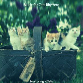 Download track Nurturing (Cute Kittens) Music For Cats Rhythms