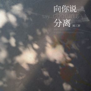 Download track 向你说分离 (伴奏) 刘三岁